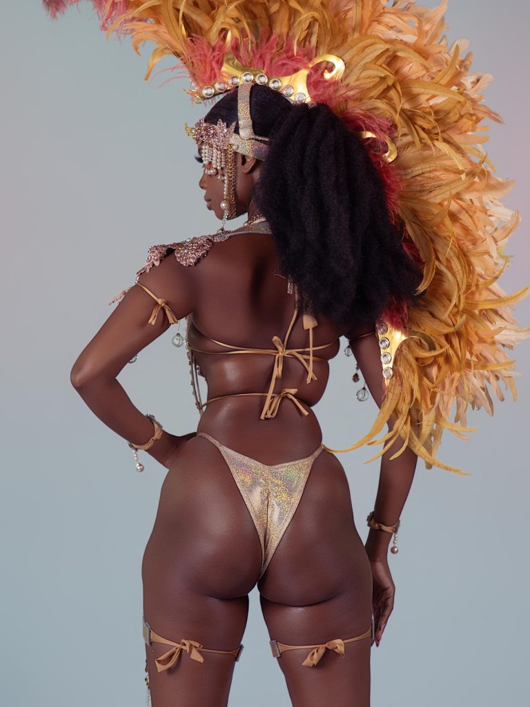 MARÉ Wire Bra & Brazilian Cut Panty Back-1401x1867