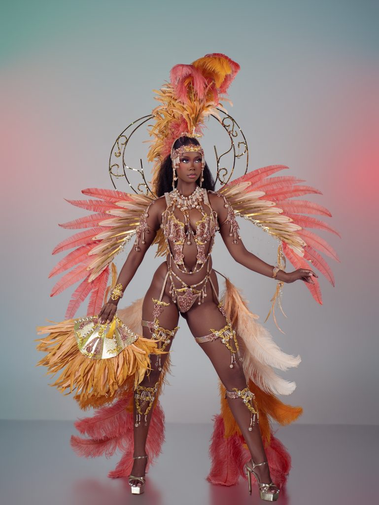 MARÉ Wire Bra and Panty, Large Luxury Headpiece, Fan, Luxury Backpack and Tail