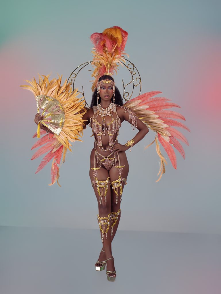 MARÉ Wire and Panty, Fan, Large Luxury Headpiece and Luxury Backpack